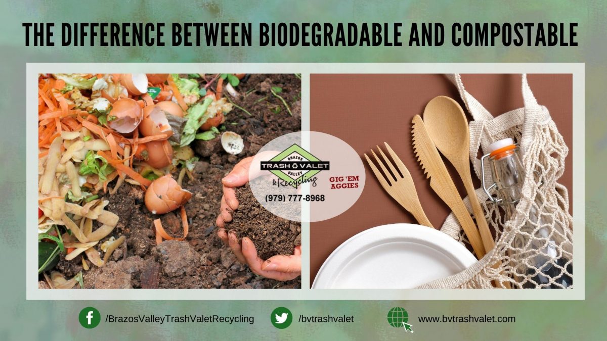 The Difference Between Biodegradable And Compostable - BV Trash Valet ...