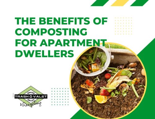 The Benefits of Composting for Apartment Dwellers