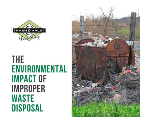 The Environmental Impact of Improper Waste Disposal