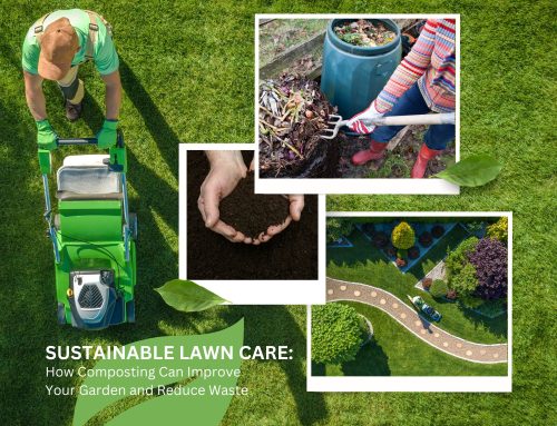 Sustainable Lawn Care: How Composting Can Improve Your Garden and Reduce Waste