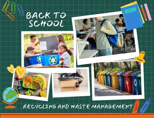 Eco-Friendly Back-to-School: Teaching Kids About Recycling and Waste Management