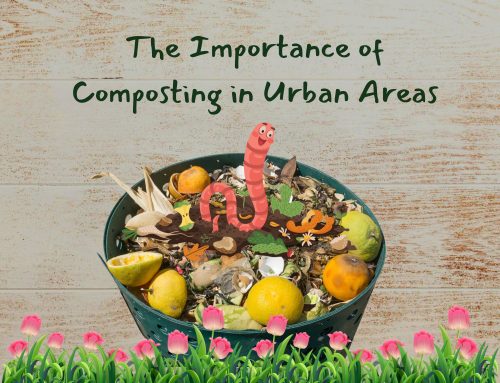 The Importance of Composting in Urban Areas