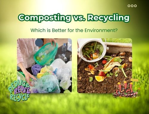 Composting vs. Recycling: Which is Better for the Environment?