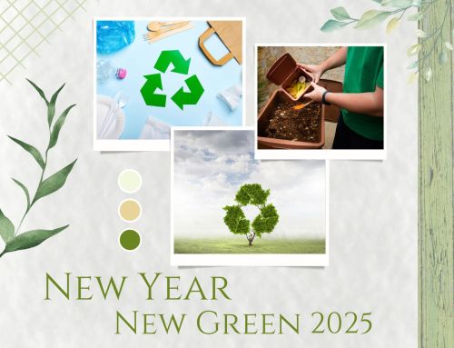 New Year, New Green Goals: Simple Resolutions for Sustainable Living in 2025