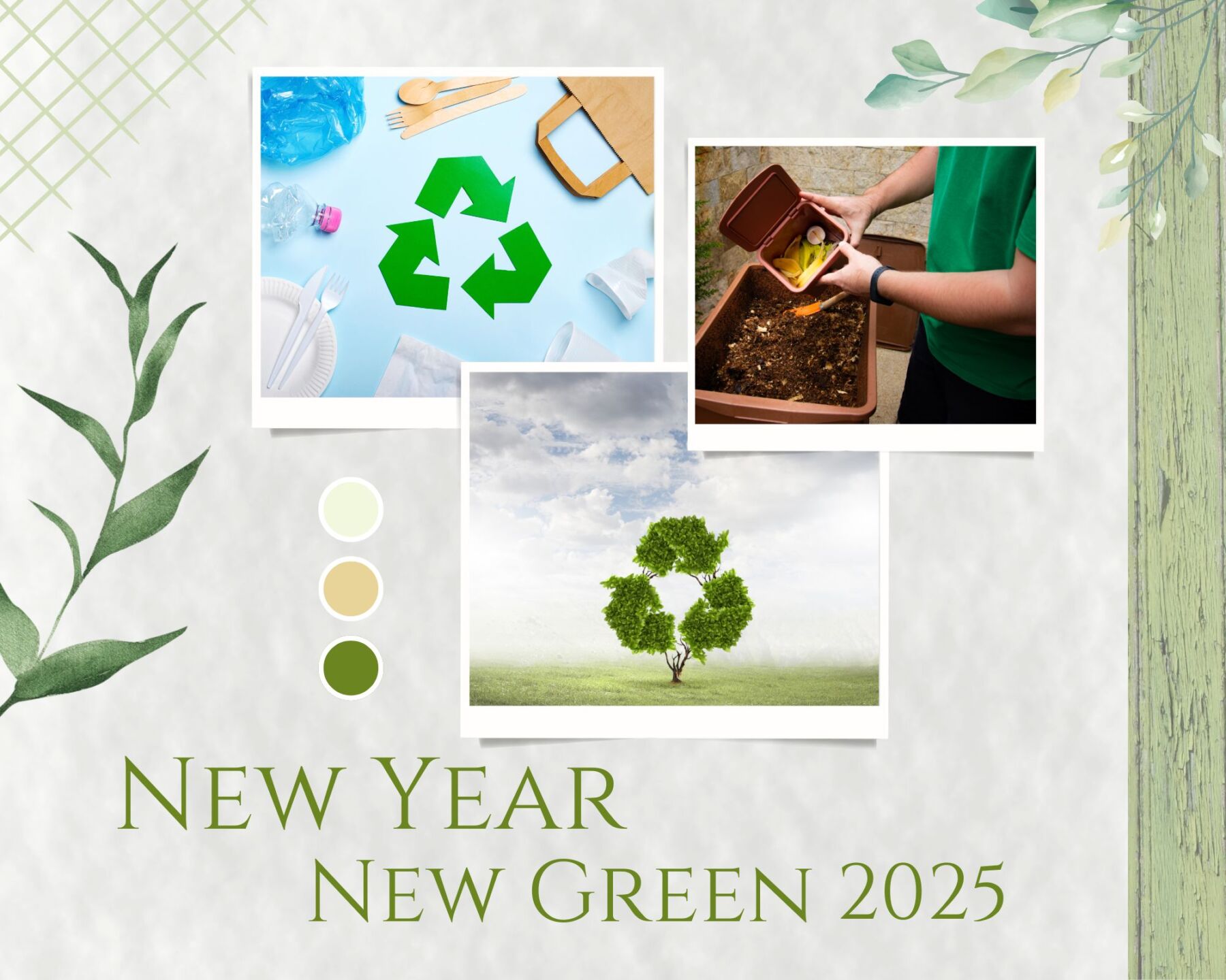 New Year, New Green Goals: Simple Resolutions for Sustainable Living in 2025