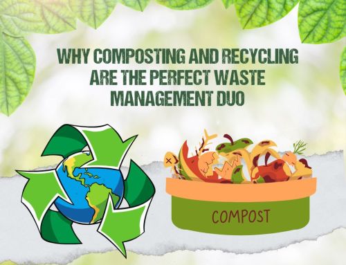 Why Composting and Recycling Are the Perfect Waste Management Duo