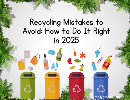 Recycling Mistakes to Avoid: How to Do It Right in 2025